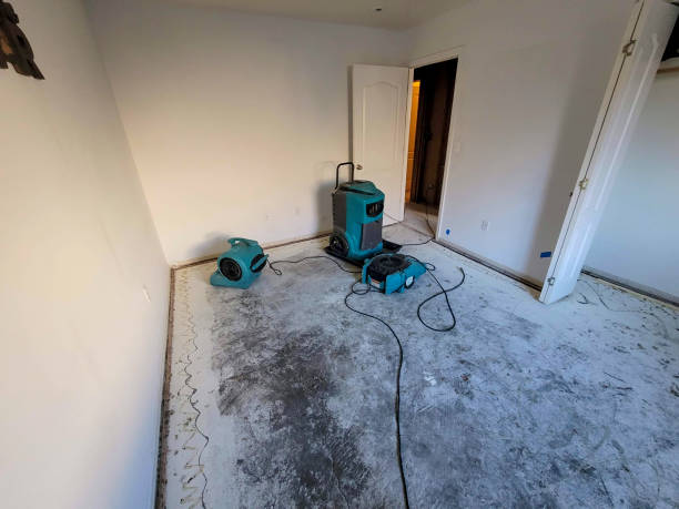 Best Fire Damage Restoration  in Lake Ronkonkoma, NY