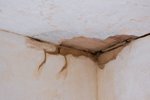 Best Basement water damage restoration  in Lake Ronkonkoma, NY