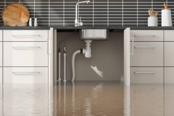 Best Fire Damage Restoration  in Lake Ronkonkoma, NY