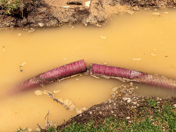 Best Water damage cleanup near me  in Lake Ronkonkoma, NY