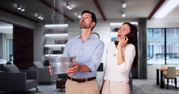 Best Water damage restoration near me  in Lake Ronkonkoma, NY