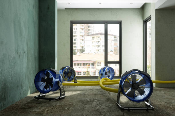 Best 24/7 water damage repair  in Lake Ronkonkoma, NY