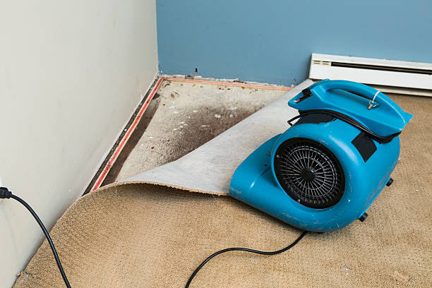Best Professional water damage repair  in Lake Ronkonkoma, NY